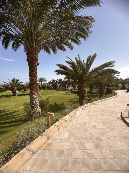 Gartenanlage Fort Arabesque Resort, Spa & Villas