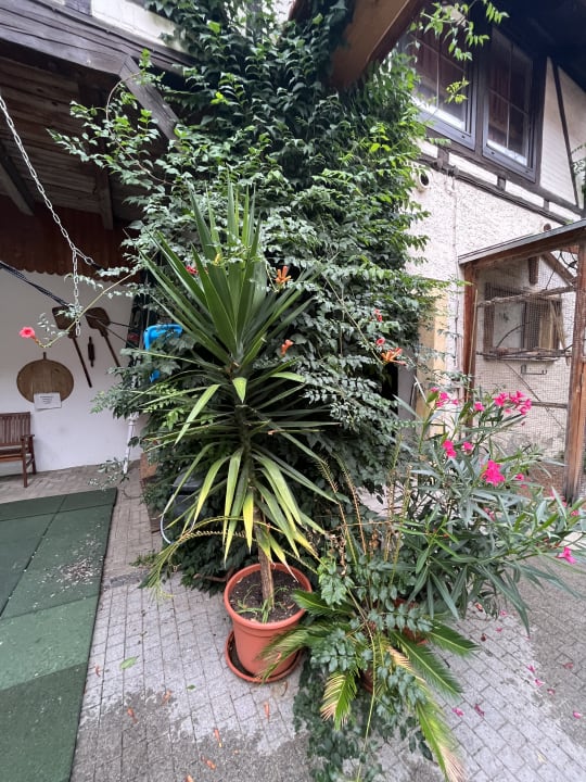 Gartenanlage Zur Grünen Eiche