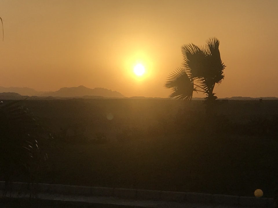 Ausblick Three Corners Sea Beach Resort