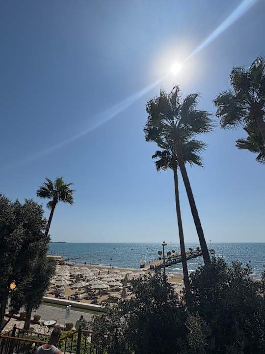 Ausblick Arum Barut Collection