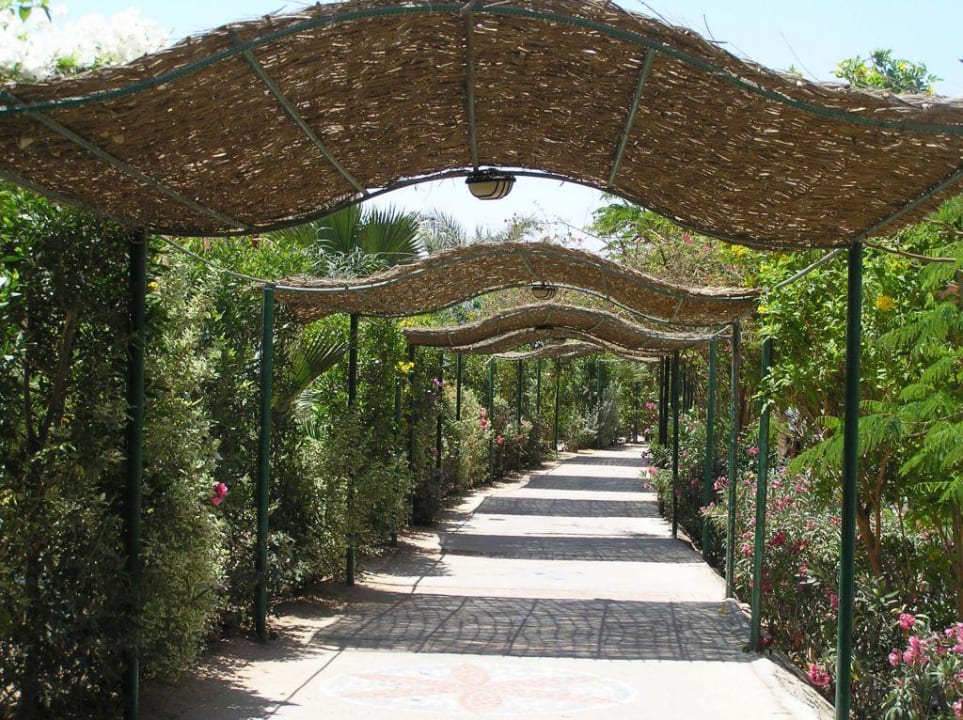Der Weg  Jaz Makadi Oasis Resort
