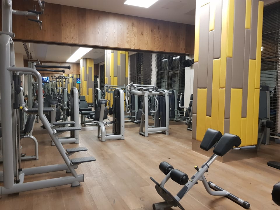 Sport & Freizeit Acanthus Cennet Barut Collection