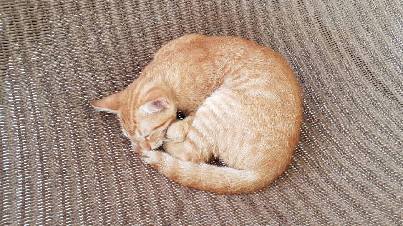 Sonstiges TUI BLUE Tamala