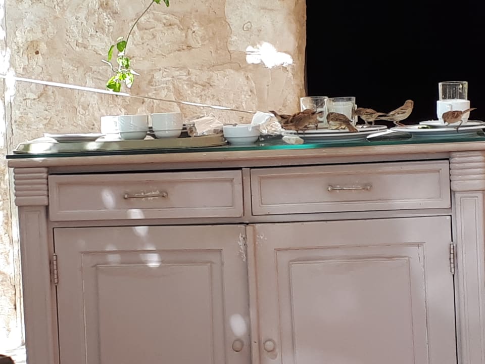 Gastro Makadi Spa - Adults only