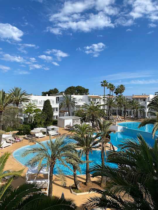 Pool Calimera Fido Gardens