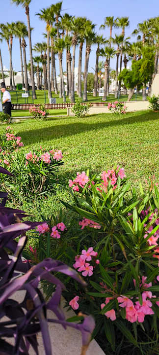 Gartenanlage Monachus Family Resort Sorgun