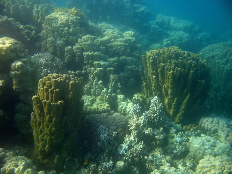 69 Stella Beach Resort & Spa Makadi Bay