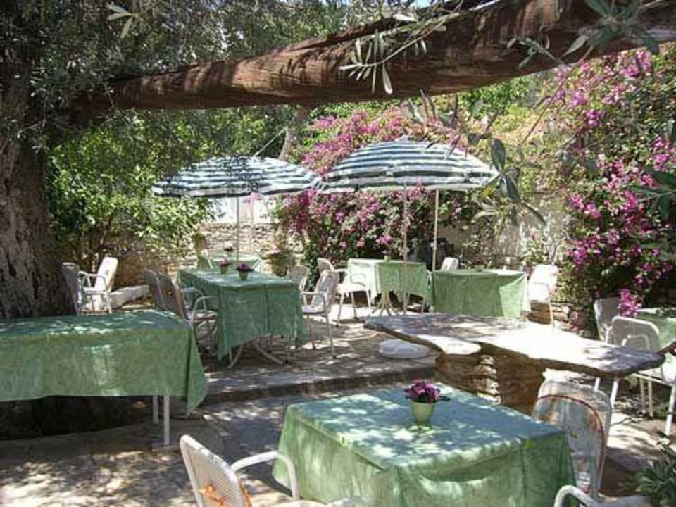 Zum Frühstück unter Olivenbäumen Hotel Olivia