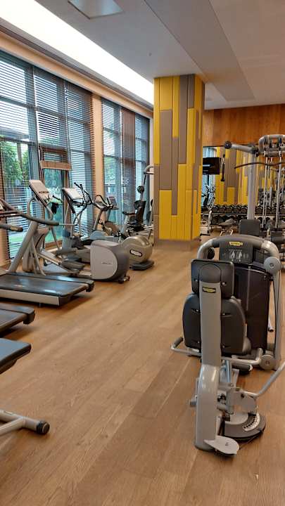 Sport & Freizeit Acanthus Cennet Barut Collection