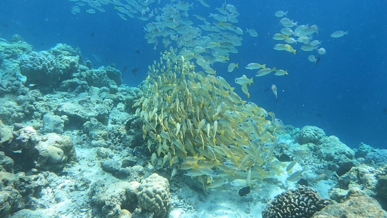 Sport & Freizeit NH Collection Maldives Reethi Resort