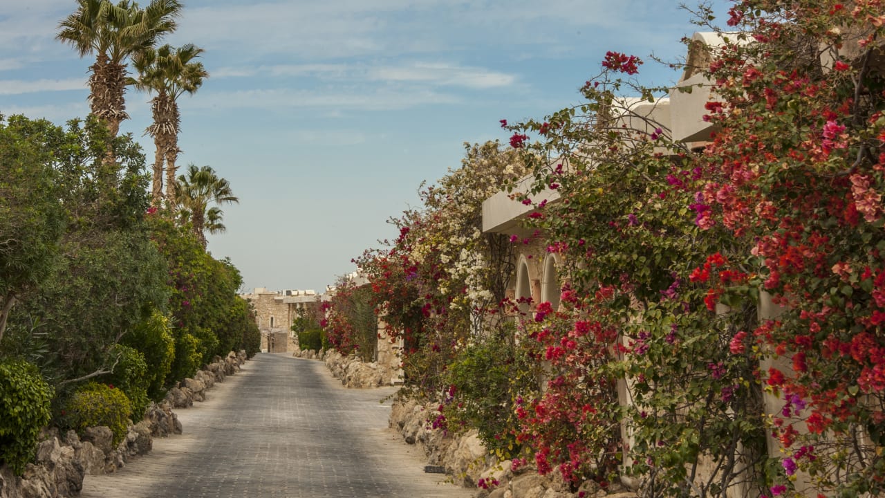 Ausblick Pickalbatros Citadel Resort