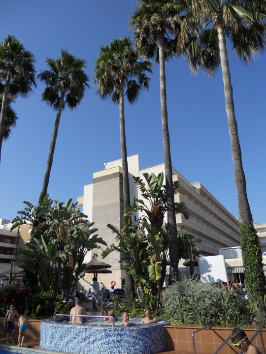 Whirpool Globales Pionero