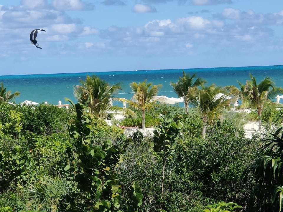 Ausblick TRS Coral Hotel - Adults Only