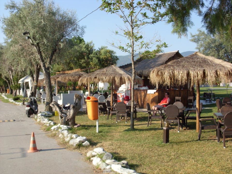  Strandbar alltoura Club Hotel Poseidon Palace