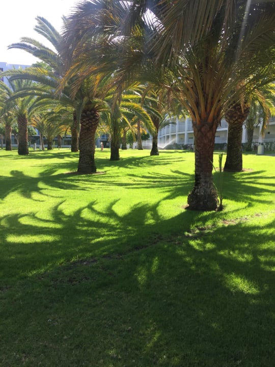 Gartenanlage Hotel Riu Gran Canaria