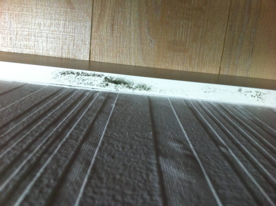 Schimmel, dem wir beim wachsen zusahen Port Nature Luxury Resort & Spa