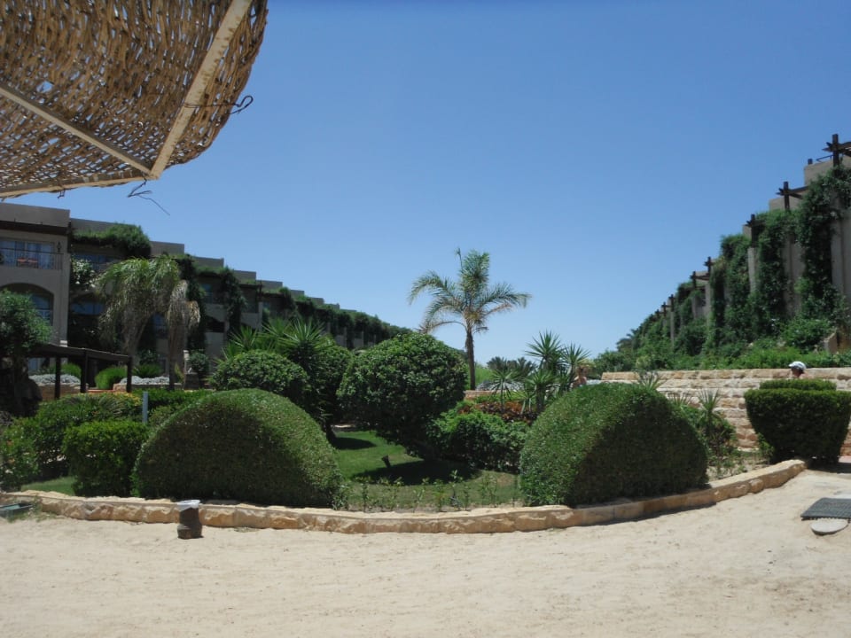 Grünanlage am Strand Prima Life Makadi Resort