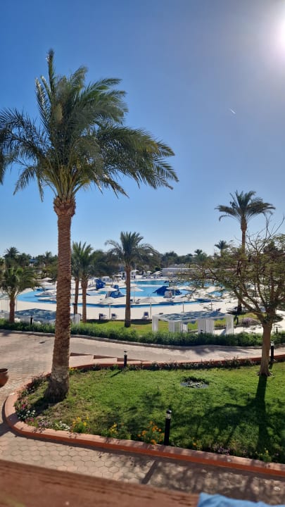 Pool Pharaoh Azur Resort