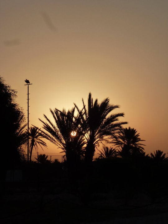 Morgenstimmung Iberostar Waves Mehari Djerba