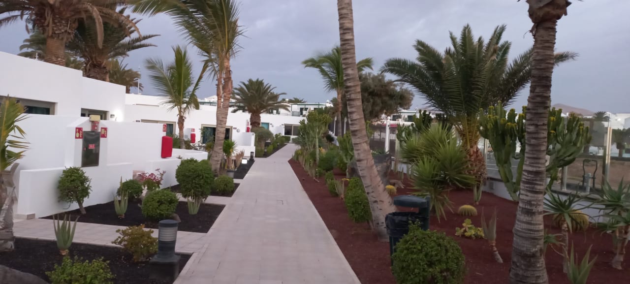 Gartenanlage Hotel Las Costas