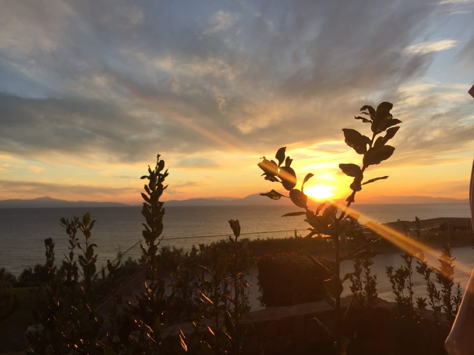 Ausblick Ikos Oceania