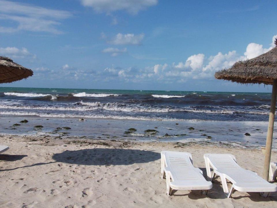 Algen und Grünzeug, Wellen Iberostar Waves Mehari Djerba