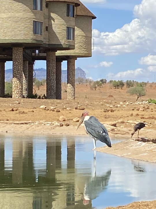 Ausblick Salt Lick Safari Lodge