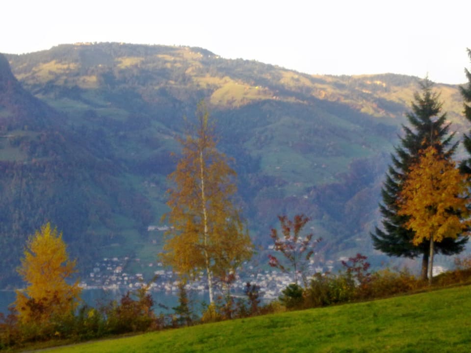 Aussicht vor Sonnenuntergang Seeblick Höhenhotel