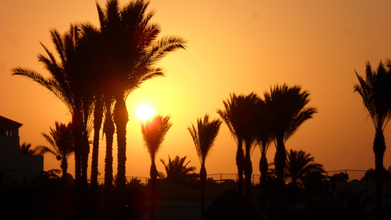 Sonnenaufgang in der Anlage kurz nach  5 Uhr Pickalbatros Dana Beach Resort - Hurghada