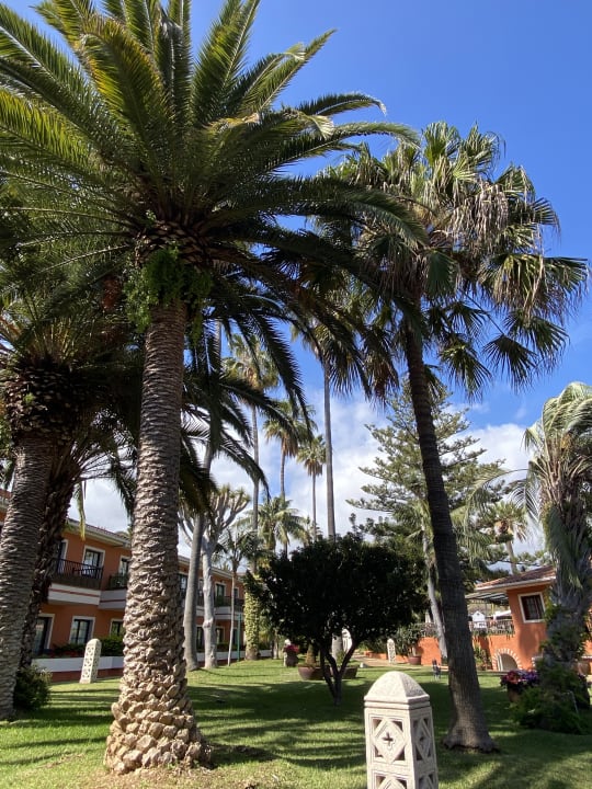 Gartenanlage Apartments Ambassador