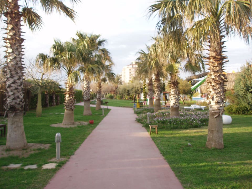 Weg zum Strand Saturn Palace Resort Hotel