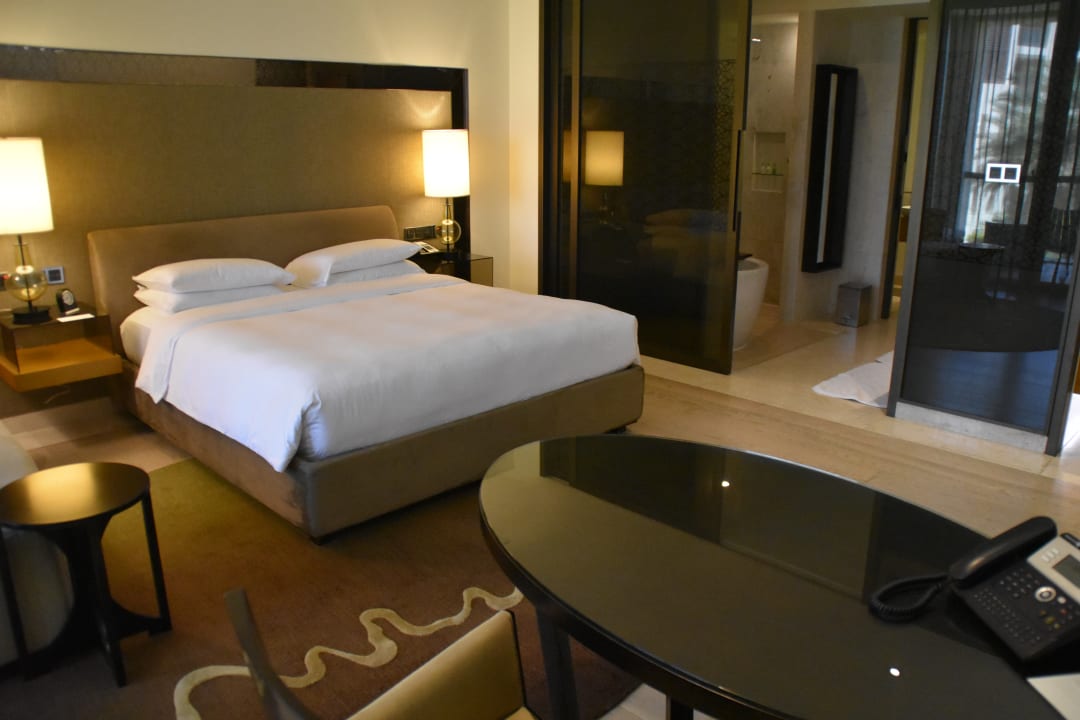 Zimmer Park Hyatt Abu Dhabi Hotel and Villas