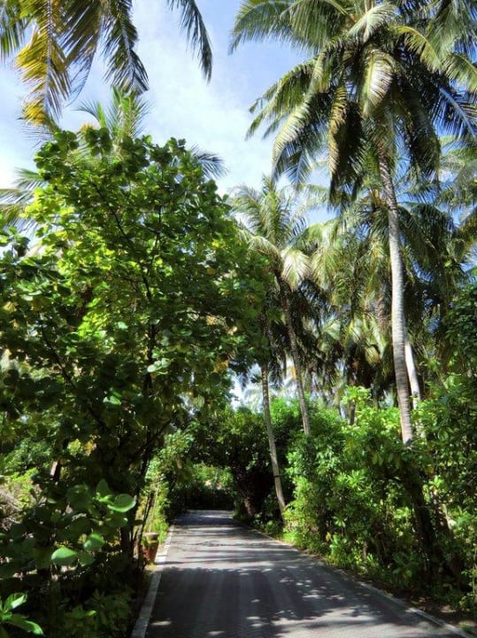 Einer der befestigten Wege Villa Park Sun Island