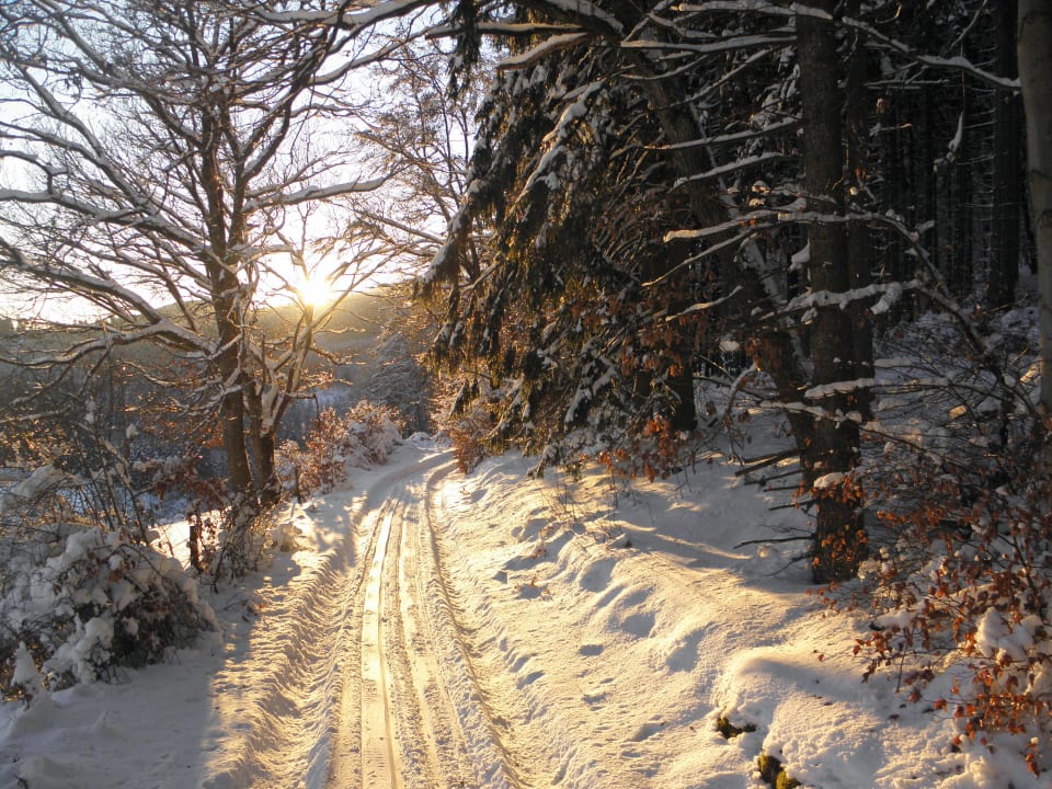 Sonstiges Ferienwohnung Martina