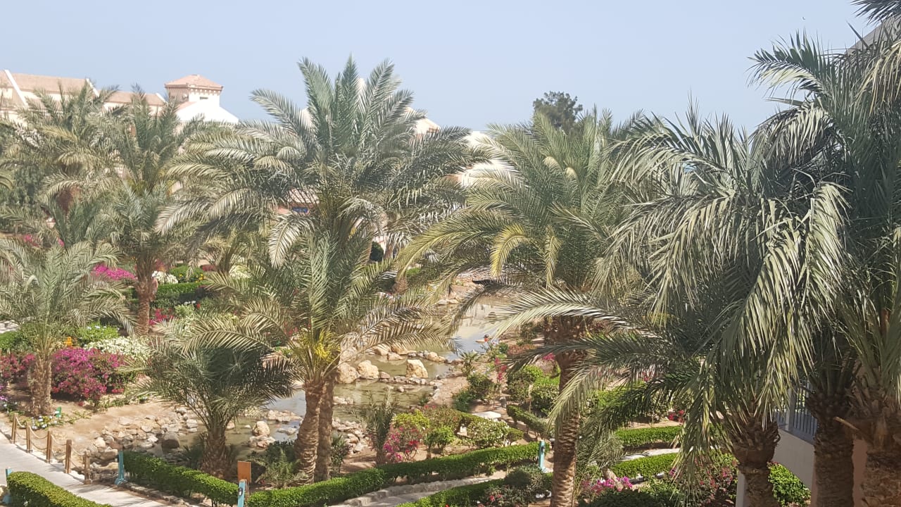 Gartenanlage Mövenpick Resort & Spa El Gouna