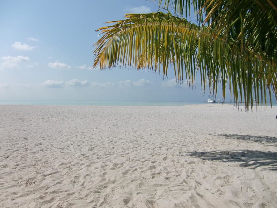 Ausblick von der Liege Cinnamon Hakuraa Huraa Maldives