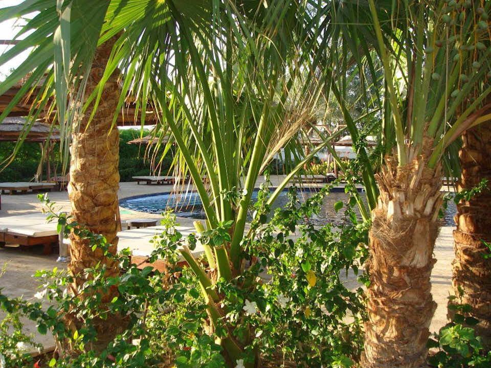 Relaxpool vor dem Hotel Ghazala Beach