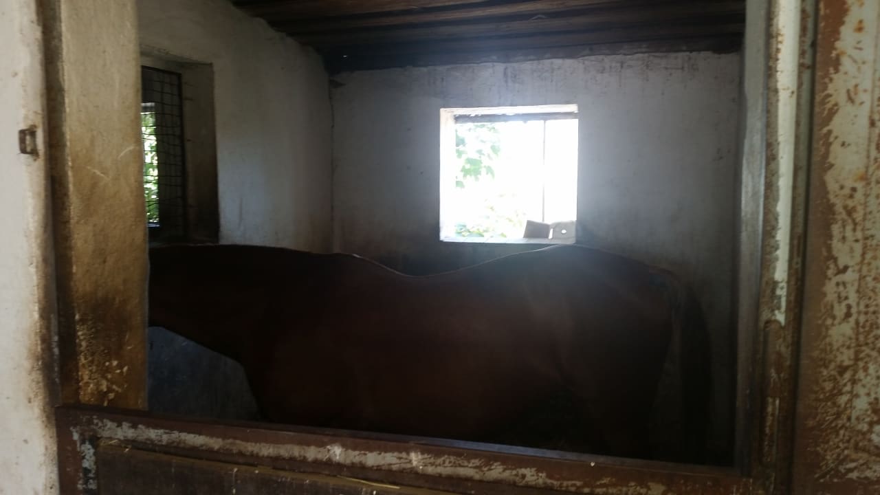 Außenansicht Hotel Reiterhof Altmühlsee