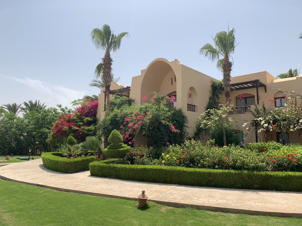 Gartenanlage Steigenberger Coraya Beach - Adults only