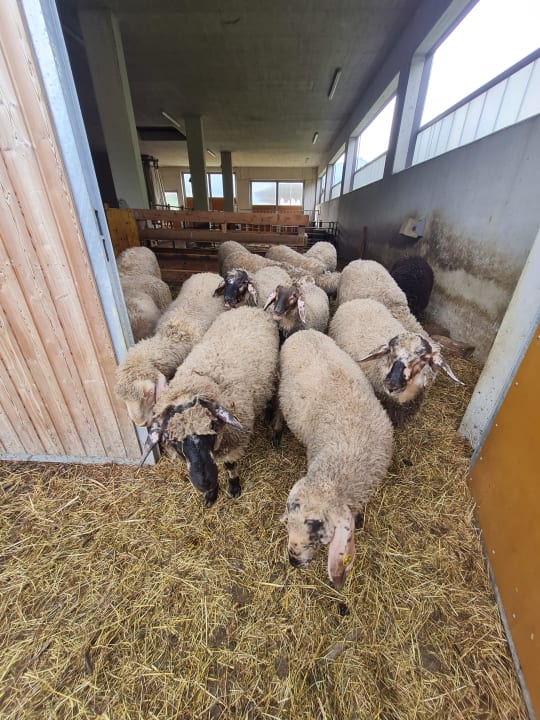 Außenansicht Hotel Lammwirt