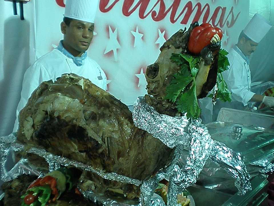 Weihnachtsfestzelt Pickalbatros Palace Resort