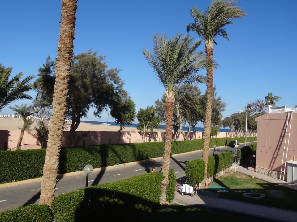 Ausblick Beach Albatros Resort