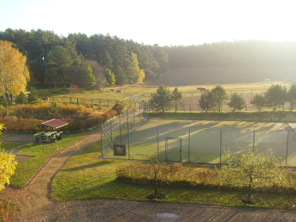 Ausblick aus unserem Fenster Landhotel Borstel-Treff