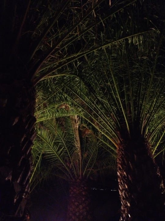 Abendstimmung Club Jandia Princess