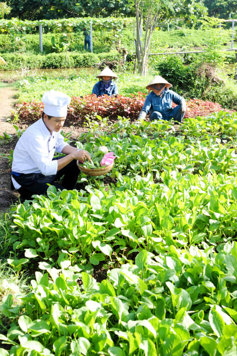 Organic Garden Mekong Riverside Boutique Resort & Spa