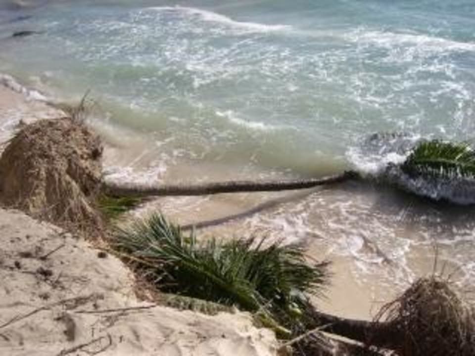 Der Strand Anfang Januar Iberostar Waves Quetzal