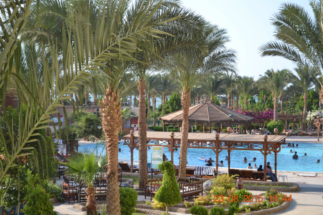 Вид из номера Le Jardin Aqua Park Resort