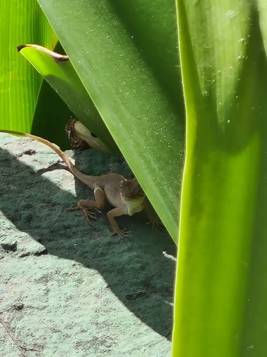 Sonstiges Bahia Principe Grand Aquamarine