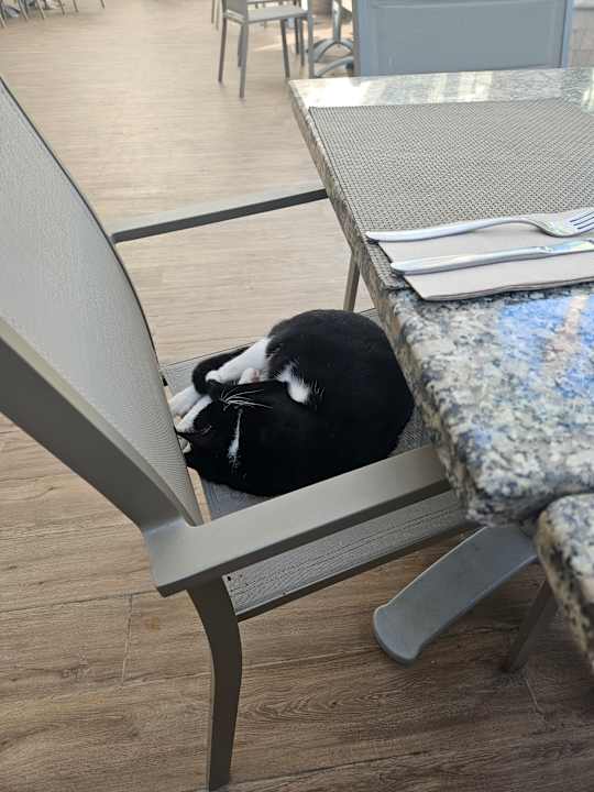 Gastro Iberostar Waves Mehari Djerba