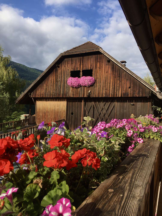 Ausblick Bauernhof Pichlerhof